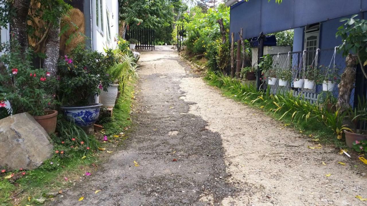 Homestay Doc Tinh 달랏 외부 사진