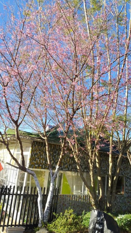 Homestay Doc Tinh 달랏 외부 사진